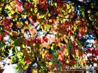 img_lastminute_2117.jpg